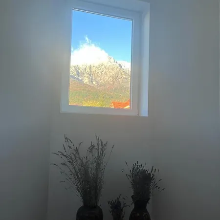 Miro Monte